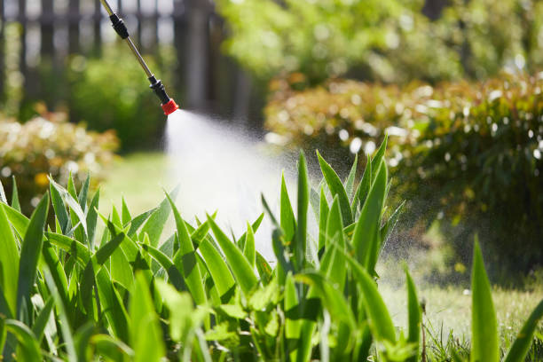 24/7 Emergency Wasp Removal experts in Ironwood, MI